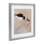 American Oyster Catcher & Chicks, reproduction encadrée sous verre, conception de Barbara Fallenbaum