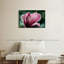 Fleur de magnolia Harnek en fleurs-107870064