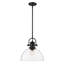 Luminaire suspendu dôme à 1 lumière Bales-222564236-222564238