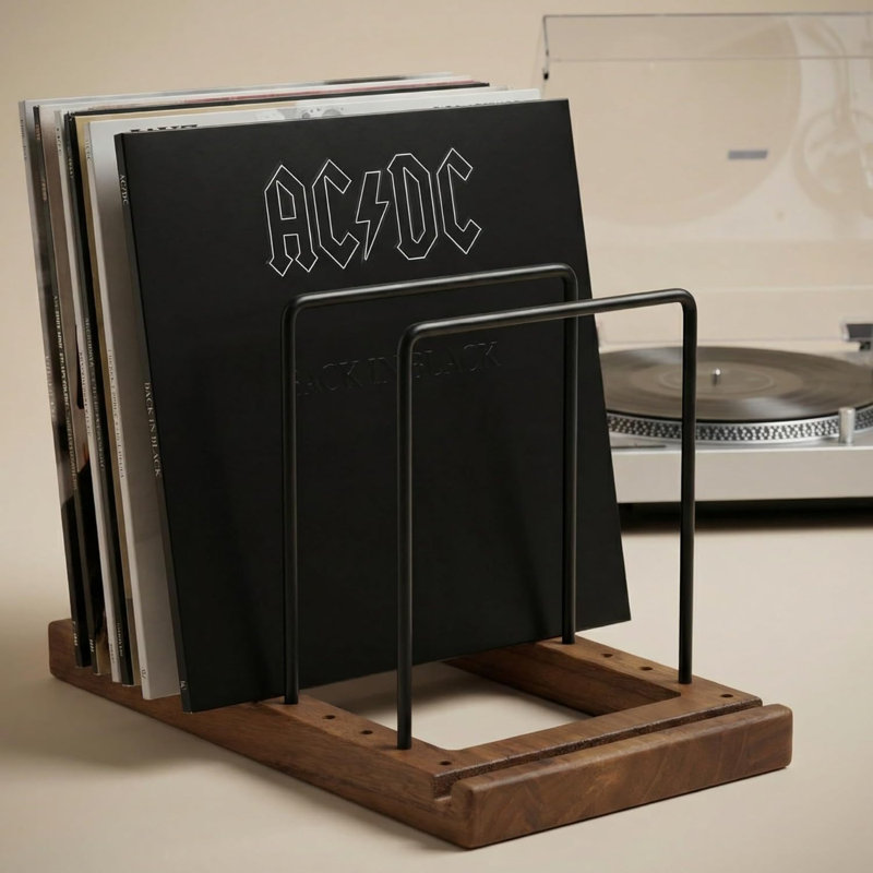 Rangement pour disques vinyles (jusqu'à 75 disques) - Présentoir élégant et décoratif pour 75 disques.