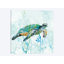 Sea Turtle Swim I by Carol Robinson - No Frame Print on Canvas-50029436-56677061