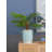 Daria Handmade Ceramic Table Vase-812077773