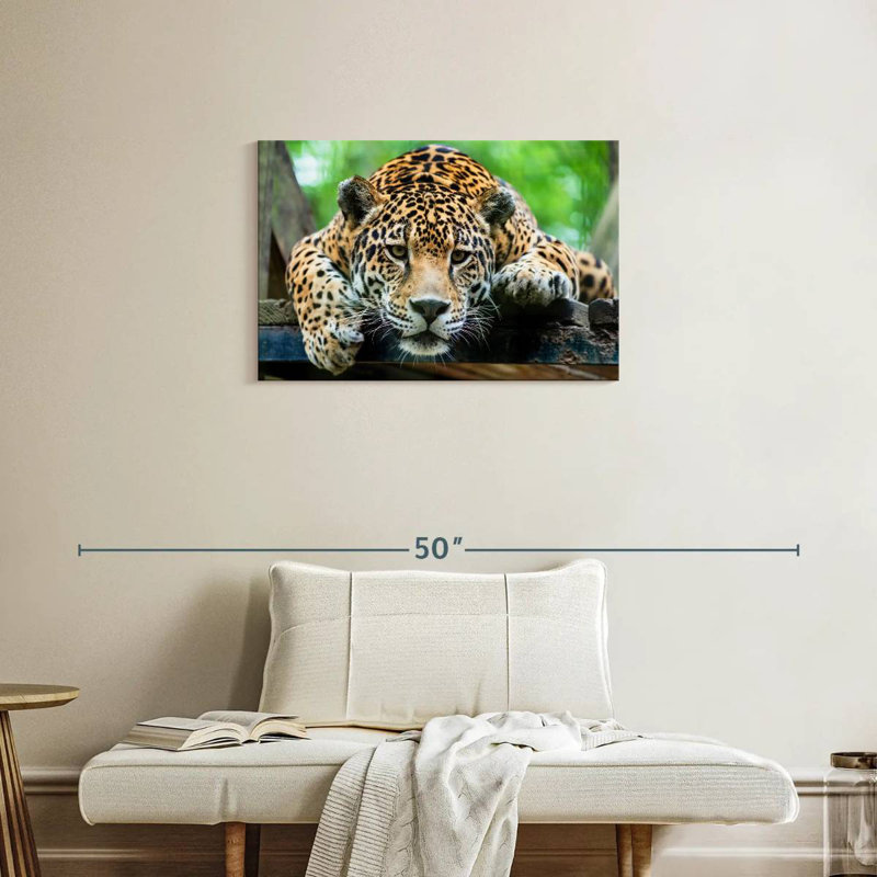 Crowle Lazy Leopard, 20" H x 30" W