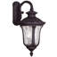 Lanterne murale d'extérieur 3 lumières avec abat-jour en verre transparent-101230967-101230968