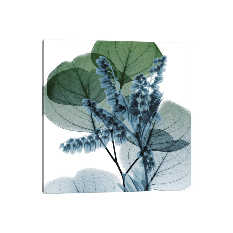 Lilly Of Eucalyptus II by Albert Koetsier - Wrapped Canvas Painting, 30.48 cm H x 30.48 cm W