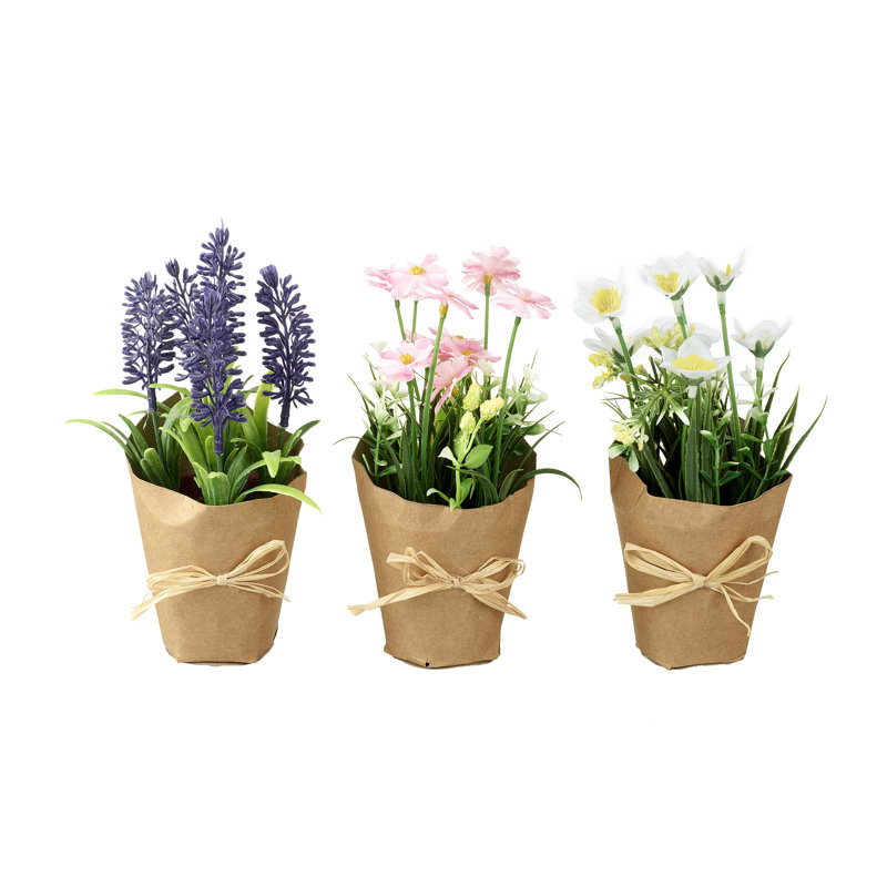 Arrangement in Pot