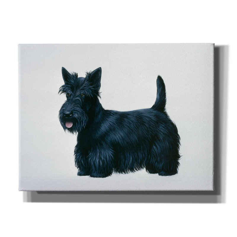 "Epic Graffiti" Scottish Terrier "par Harro Maass, C" Epic Graffiti "Scottish Terrier" par Harro Maass, C "Scottish Terrier" sur toile par Harro Maass