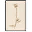 «Austere Beauty», reproduction d'art sur toile par Art Remedy-118171029-118171028