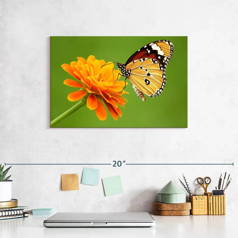 Brampt Butterfly With Flower, 8" H x 12" W