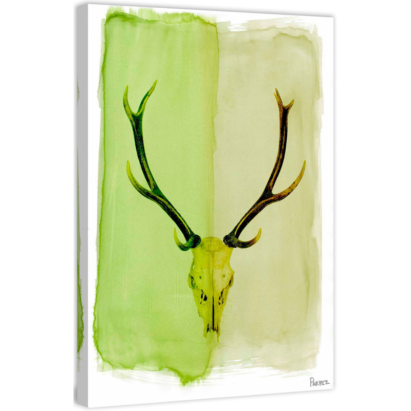 Parvez Taj - Wrapped Canvas Print, 76cm H x 51cm W