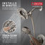 Ensemble de robinet de baignoire en nickel brossé Arvo 14 Series avec pomme de douche double 2 en 1 In2ition avec douchette combinée, ensemble de garniture de valve, acier inoxydable Spotshield (valve incluse)-58972591