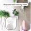 Wall Planter