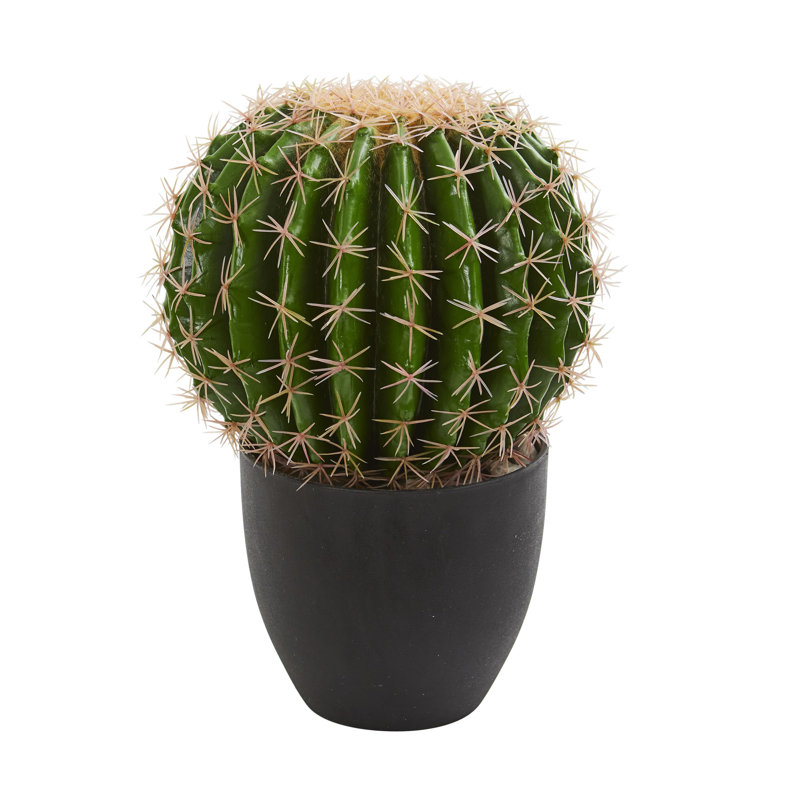 Cactus plante artificielle
