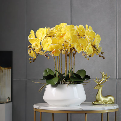 Orchid Arrangement in Pot