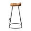 Adelisa Metal Accent Stool