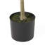 Arbre d'olive artificiel-343693792