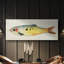 Poisson fantaisiste I - Toile tendue avec châssis - Prêt à accrocher-107360345