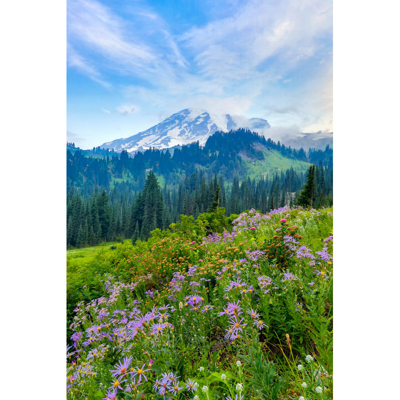 Summer Wildflowers Blooming - Wrapped Canvas Print, 46cm H x 30cm W