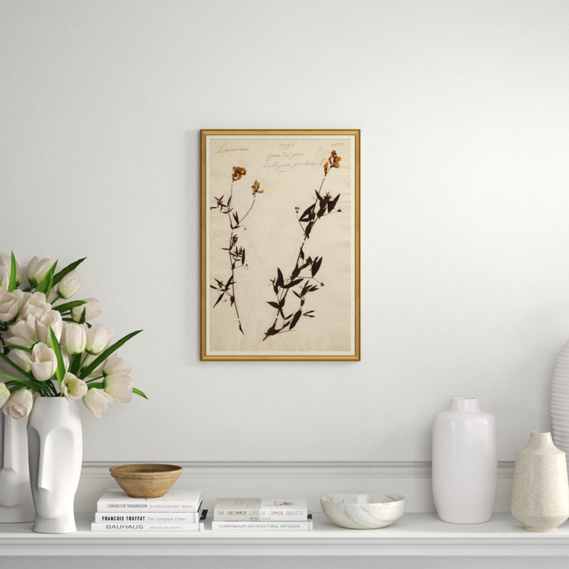 Herbarium 11 Giclee Print