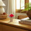 Champignon Chantel-826928396