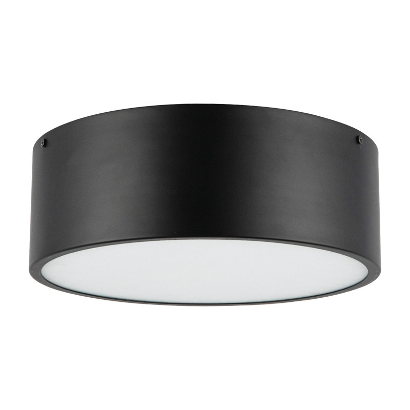 Mossy 2-Light Drum Flush Mount , Matte Black