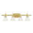 Christiansburg 4 - Light Dimmable Vanity Light-22508590