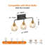 3-Light Black & Gold Bathroom Vanity Light Fixture, Clear Glass Shades For Vanity,Bathroom ,Mirror, Living Room, Hallway