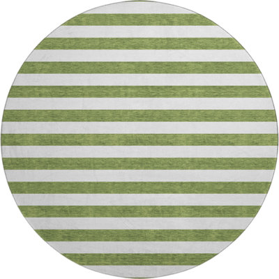 Premium Machine Washable Cerrito AMF528 Olive Rug