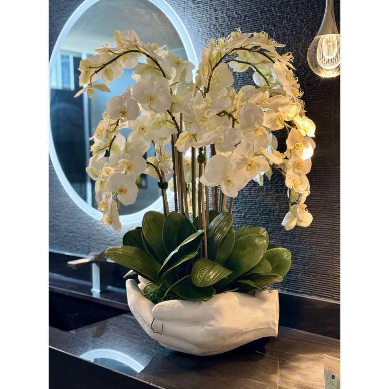 Orchid Floral Arrangement in Vase, White