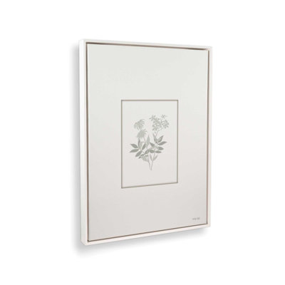 «Botanical Silhouette I» par Cindy Jacobs, reproduction d'art