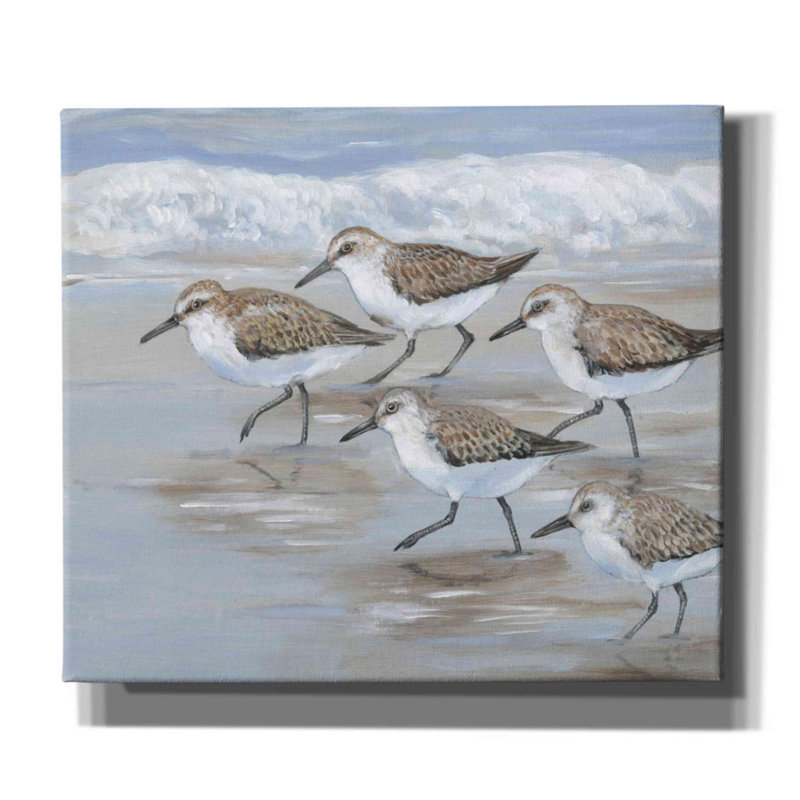 «Sandpipers I» par Tim O'toole, art mural sur toile, H 20 po x l 24 po x P 0,75 po