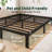 7" Steel Bed Frame Heavy-Duty Noise-Free No Boxspring Needed with Rubber Corner Guards-250813706