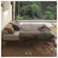 Lit plateforme Damarley-1846866000
