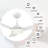 52'' Ceiling Fan with LED Lights-1621257687