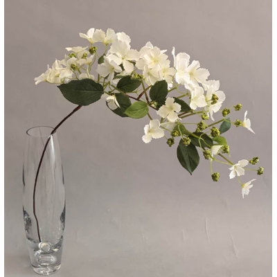 SPRAY D'HYDRANGEA