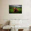 Vache Highland Brampt-107683291