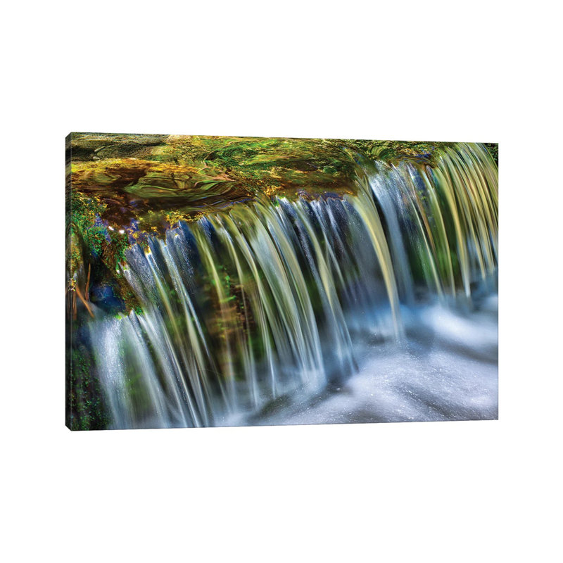 Fern Spring by Zoe Schumacher - Wrapped Canvas Print, 20.32 cm H x 30.48 cm W