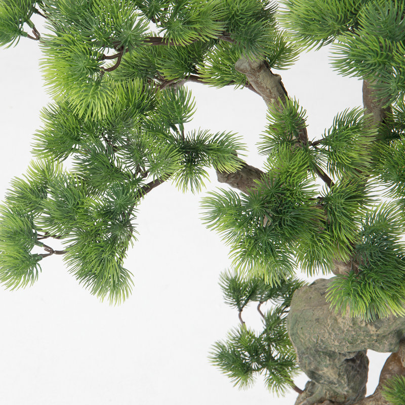 65"H Real-touch beauty Bonsai