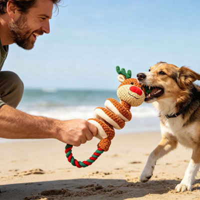 Wooden cat scratching board Interactive Squeaky Dog Toy Soft Chew Tug Toy For Small Medium Dogs