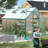 Polycarbonate Heavy Duty Aluminum Frame Greenhouse With Ventilation And Rain Gutter Walk-in Green House for Sunroom Patio Backyard-91026688-107119248
