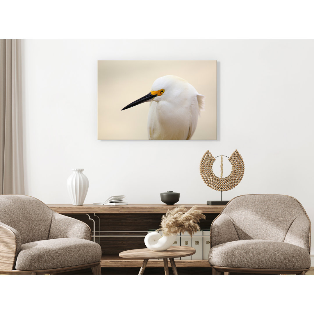 Leinwandbild Snowy Egret