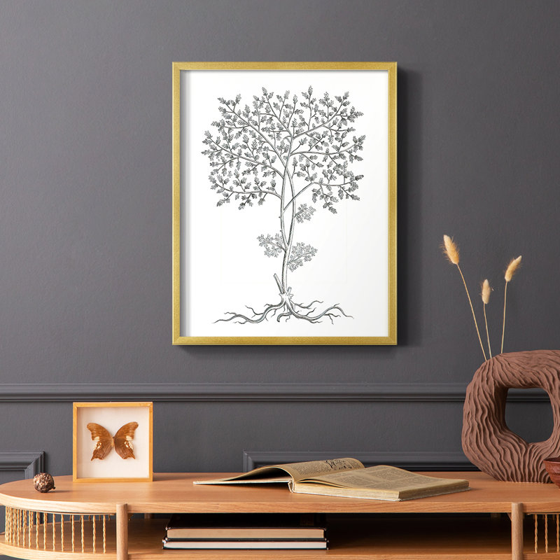 «B&W Plant Specule IV», reproduction encadrée - bois massif, H 14 po x l 11 po
