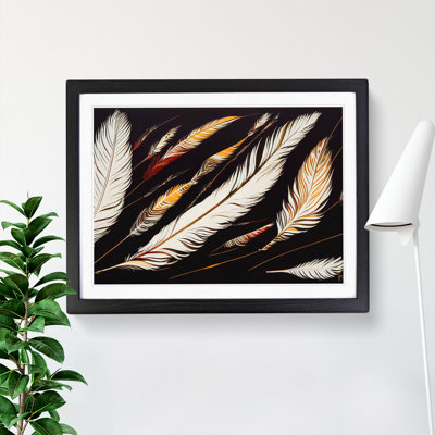 Bird Feathers - Single Picture Frame Print