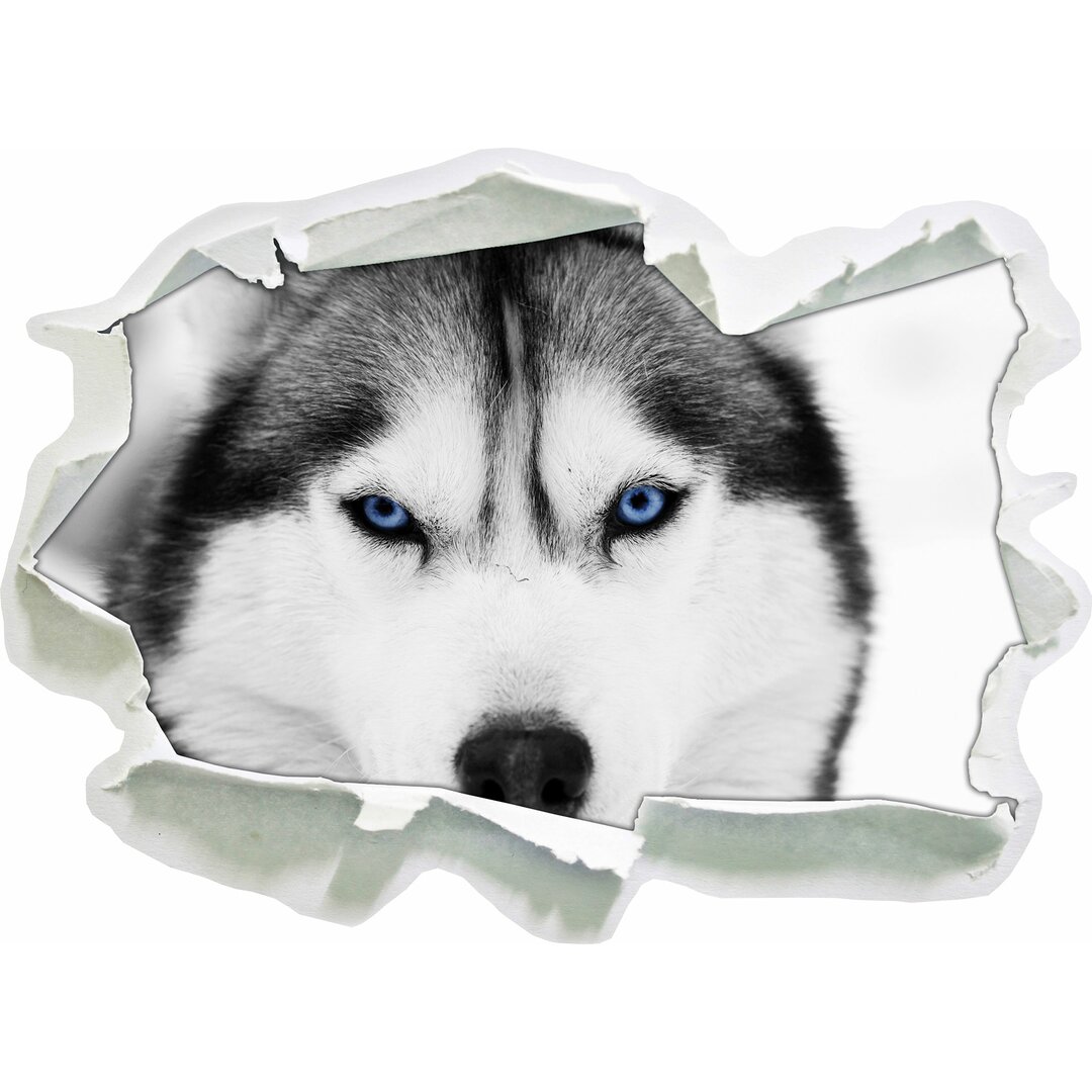 Wandtattoo Husky mit blauen Augen