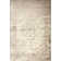 Alexia Oriental Area Rug