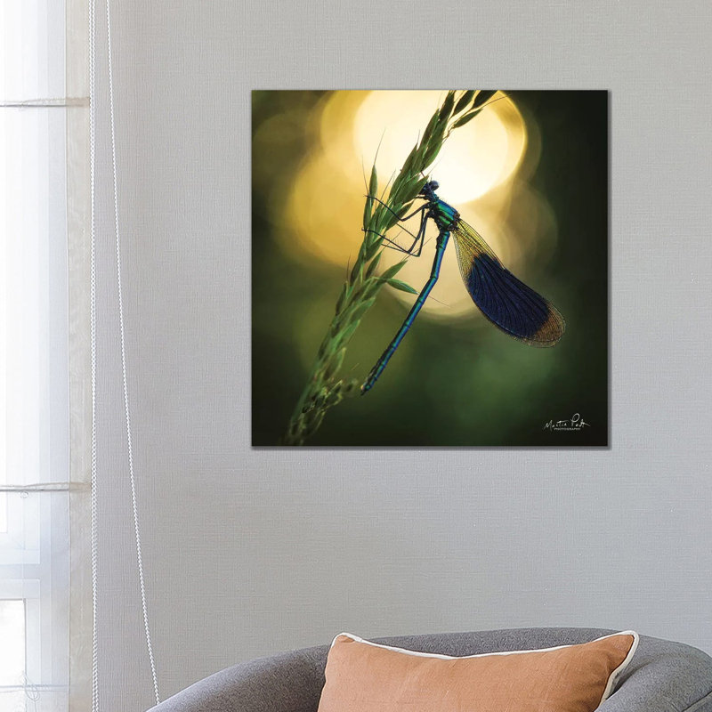 Damselfly In Backlight by Martin Podt - Wrapped Canvas Gallery-Wrapped Canvas Giclée, 66.04 cm H x 66.04 cm W x 1.91 cm D