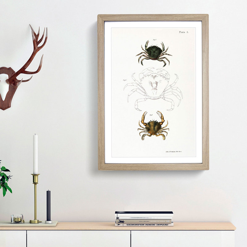 Crab Illustrations PL. 5 by J.E. De Kay - Picture Frame Painting Print, Oak Framed, 36cm H x 27cm W x 2cm D
