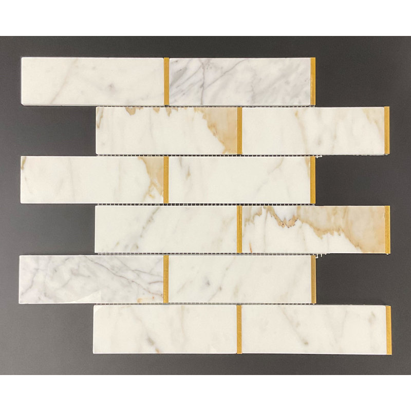 2" x 6" Marble Mosaic Pattern Wall & Floor Tile, Calacatta Gold/Gold