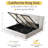 Juanetta Hydraulic Lift Up Storage Upholstered Platform Bed-1123885669-1127265000
