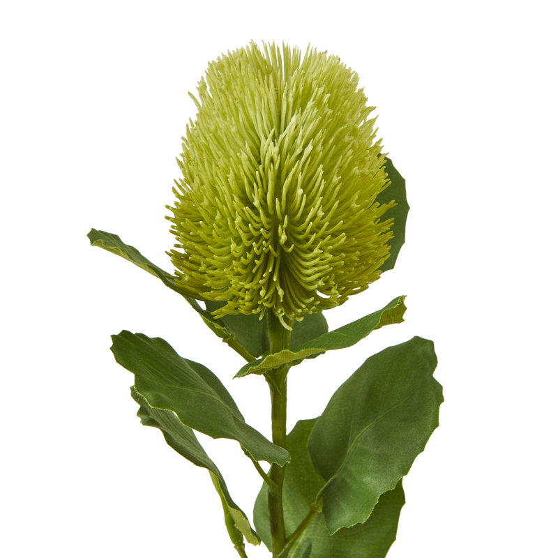 Anastasija Arrangement, Green